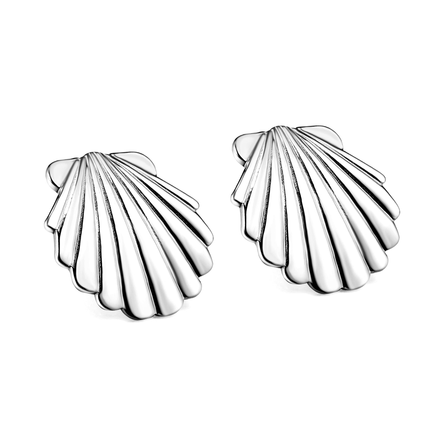 Shell  Earrings