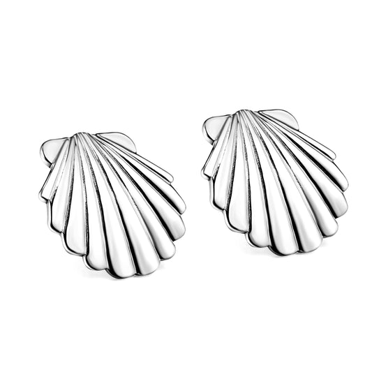 Shell  Earrings