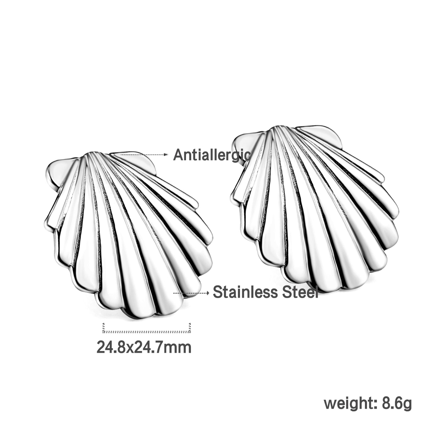 Shell  Earrings