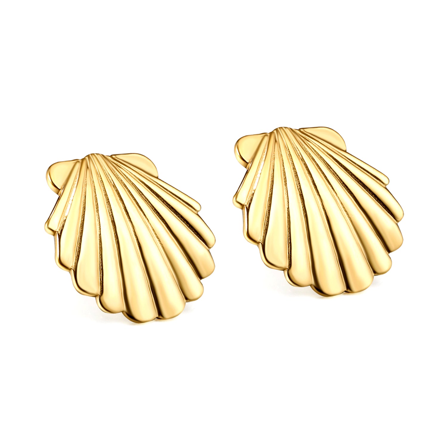Shell  Earrings