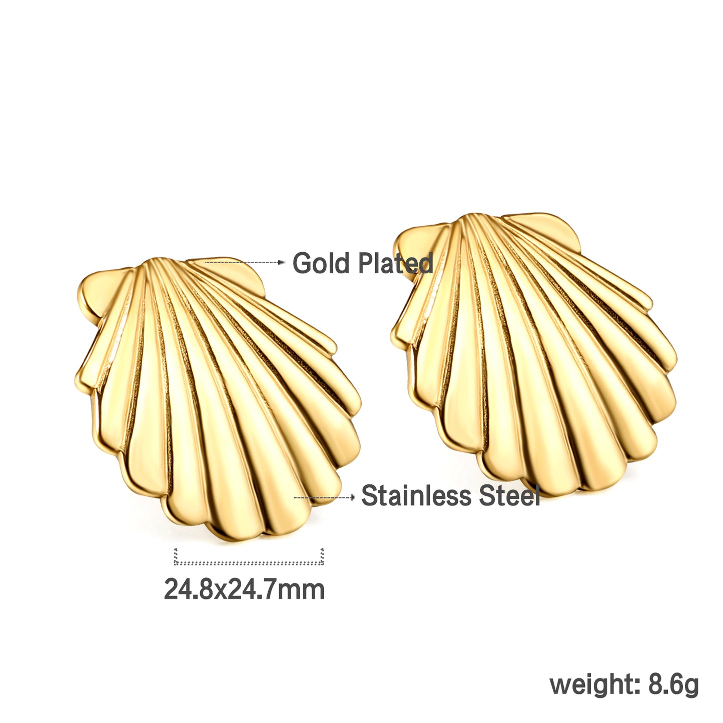 Shell  Earrings