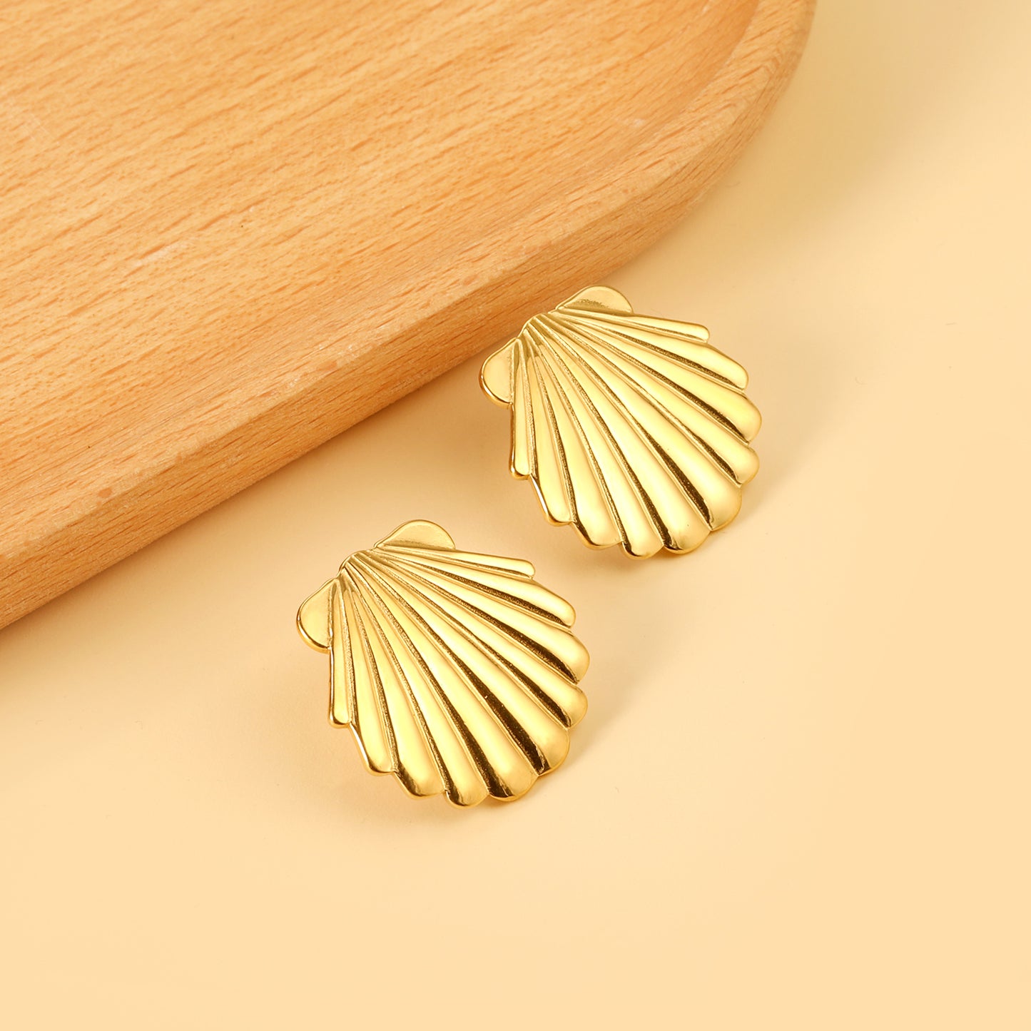 Shell  Earrings