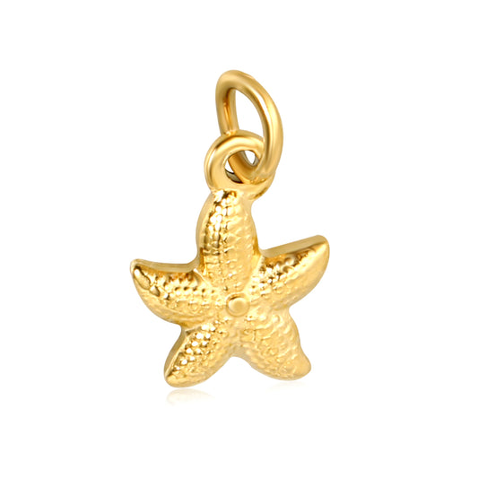 Star Charm