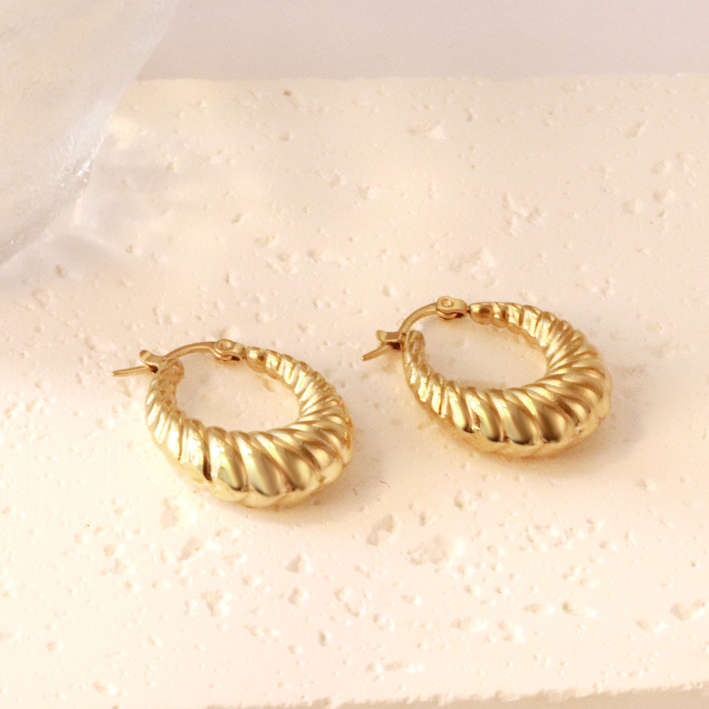 Spiral Hoop Earrings